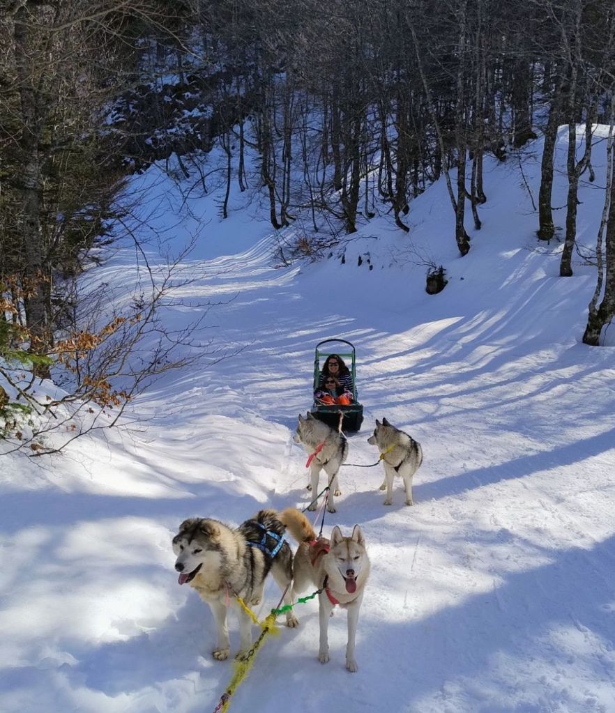 Chiens de traîneaux à La Pierre Saint-Martin en famille : notre expérience au domaine&nbsp;nordique