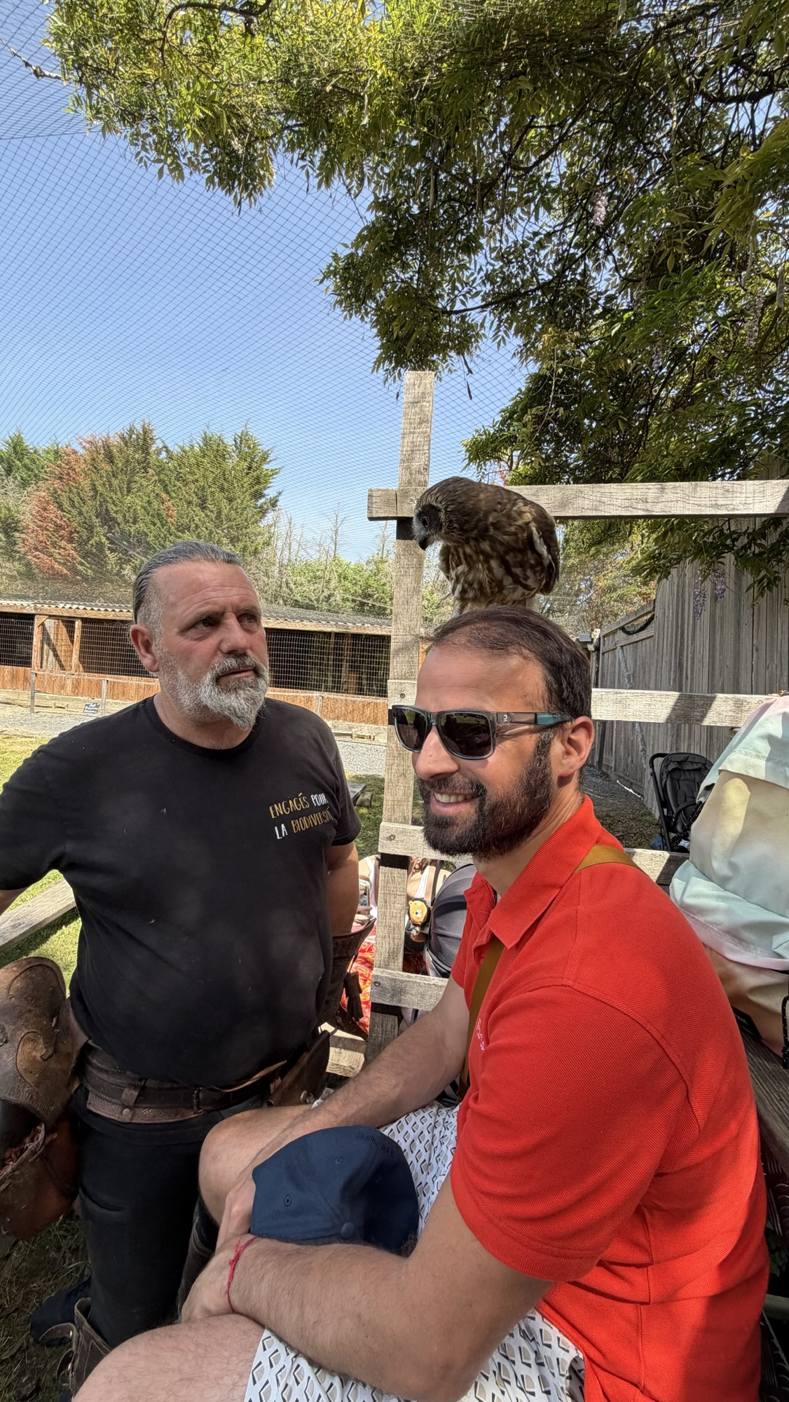 Parc aux Rapaces de Madiran en famille : une sortie pleine de surprises !